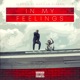 In My Feelings feat Kaptain Dinero Single