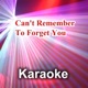 Can t Remember to Forget You Karaoke Version Originally Performed By Shakira Rihanna Single