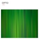 Opto 2nd