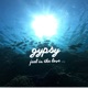 Gypsy Feel in the Love feat HAL Remix By Gorilla Head Single