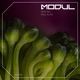 Feel Alive Single