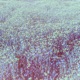 Reminders Single