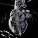 Chrome Heart Single