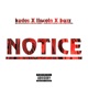 Notice feat Buzz Linlcon Single