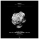 Anomaly EP