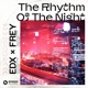 The Rhythm Of The Night Single