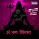 Om Namah Shivay