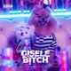 GISELE B TCH feat Dj Felipe Maia Single