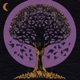 Apophenia Single