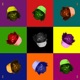 COLORES Single