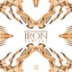 Iron Remixes EP