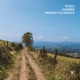 Pathway To Silence Single