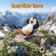 baribir ten Single