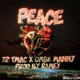 Peace feat OMBE Manny Single