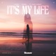 It s My Life feat Alex Turkot Single