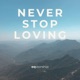 Never Stop Loving feat Brandon Bee Single