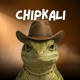 Chipkali Single