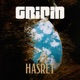 Hasret Single