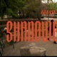 Shadow Boxing Single