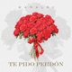 TE PIDO PERDON Single