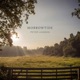 Morrowtide Single