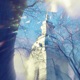 Live Forever feat LeoKid Live Single