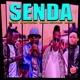 Senda radio edit feat Dladla Mshunqisi Single