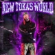 NEW TOKA S WORLD