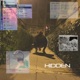 Hidden Single