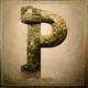 Push P Single