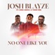NO ONE LIKE YOU feat Mike Abdul Tosin Bee REMIX REMIX Single