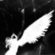 slowdemise Single