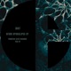 DFAM APOKALIPSE Single