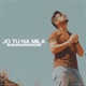 Jo Tu Na Mila Single