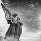 Fallen Angels Single