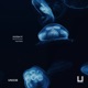 BodyScan Ukiyo Remix Single
