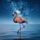 Flying Free Single