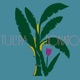 Tulipa e Donato Single