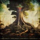 Roots