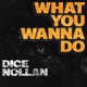 What You Wanna Do feat Nollan Single