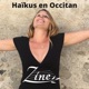 Haïkus en Occitan feat Bardus mantra version Single