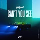 Can t You See Single