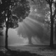 À Travers le Silence Single