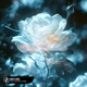 White Rose Single