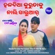 Haladia Kurutaku Nali Saluaar From To Akhi Mo Aaina Single