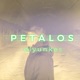 pEtAlOs Single