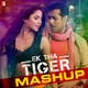 Ek Tha Tiger Mashup From Ek Tha Tiger