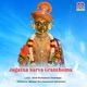 Jagatna Sarva Granthoma Single