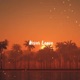 Never Leave feat Jayden Salas Single