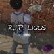 R I P LIGGS Single